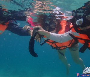 ทริปดำน้ำเกาทะลุ 25 ก.ย. 2559